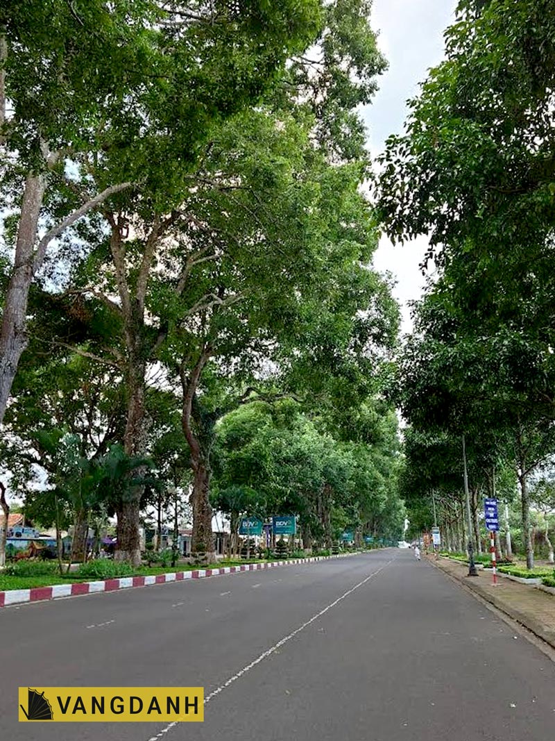 san bay buon ma thuot dichuyenBMT 3