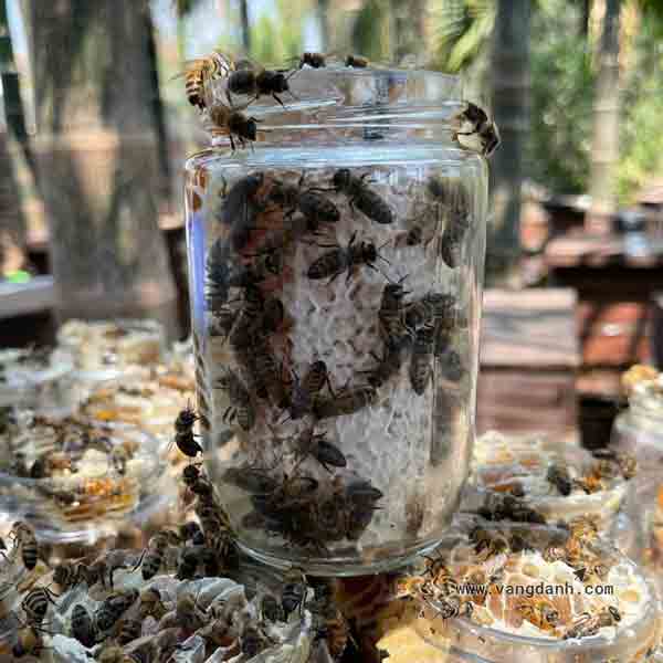 Vang Danh 13 hình đặc sản độc đáo vang danh