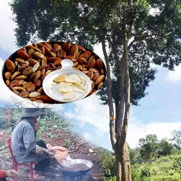 Vang Danh 9 hình đặc sản độc đáo vang danh